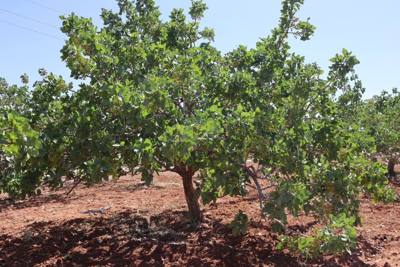 photo_2025-05-25_01-05-14