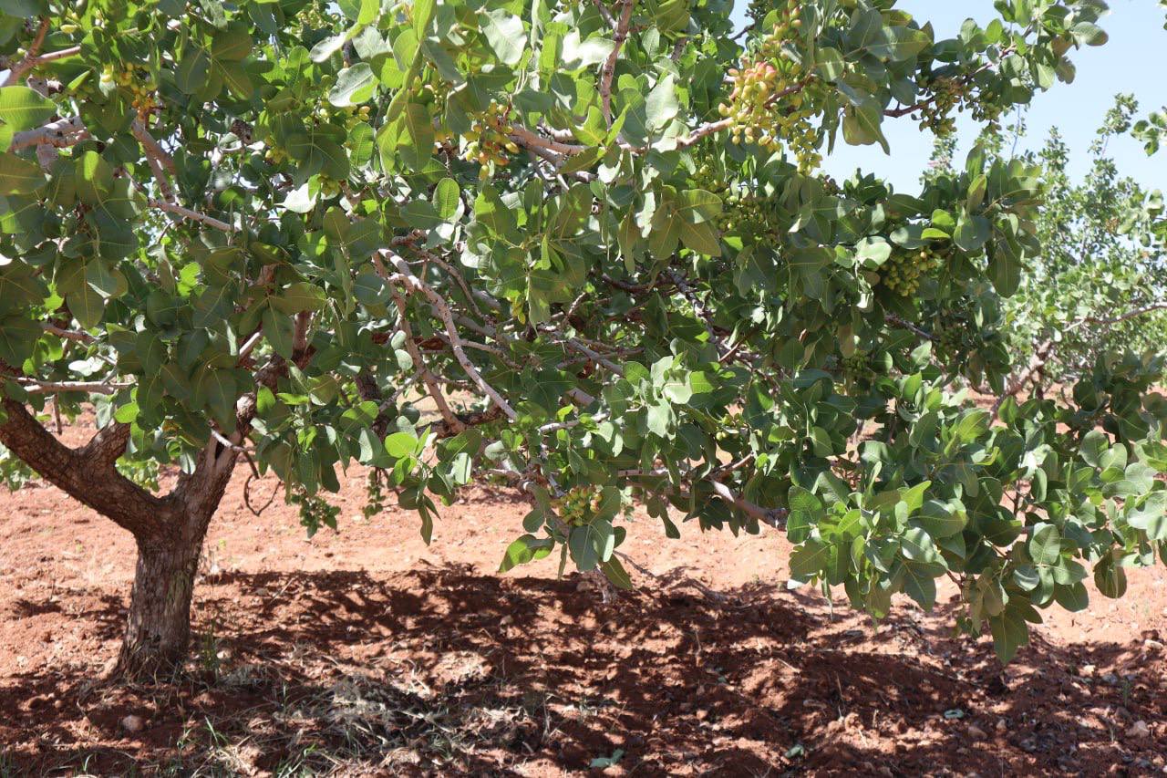 photo_2025-05-25_01-05-16