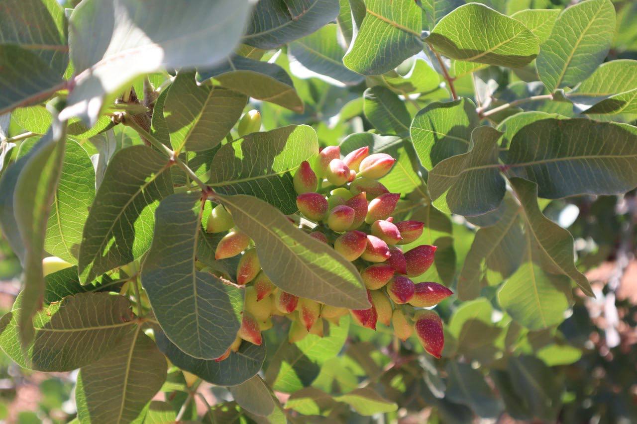 photo_2025-05-25_01-05-18