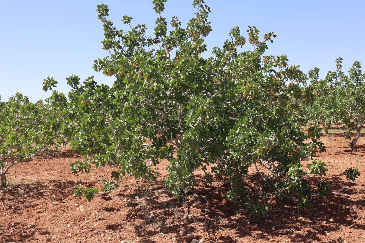 photo_2025-05-25_01-07-33
